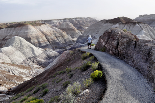 Lee Duquette at Blue Mesa Overlook